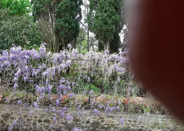 My 3* スカルペリーア